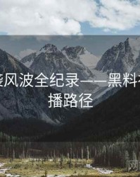 独家抄袭风波全纪录——黑料社官网传播路径