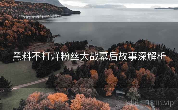 黑料不打烊粉丝大战幕后故事深解析