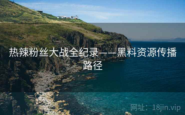 热辣粉丝大战全纪录——黑料资源传播路径
