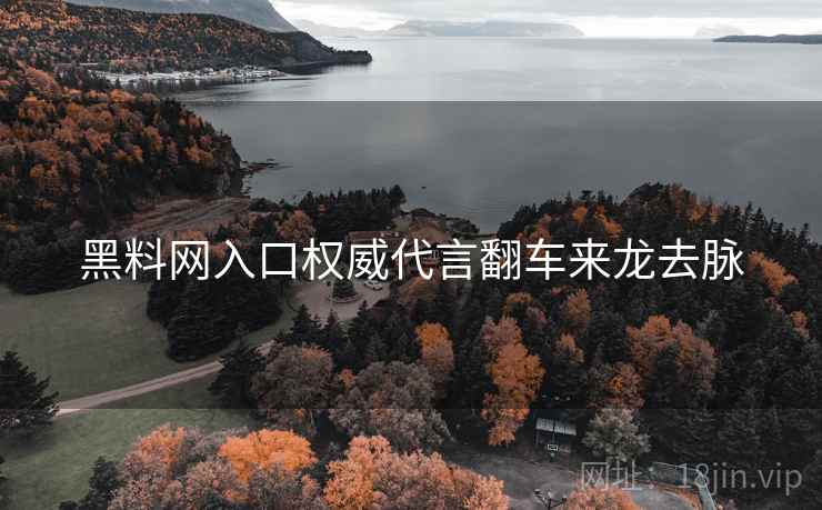 黑料网入口权威代言翻车来龙去脉