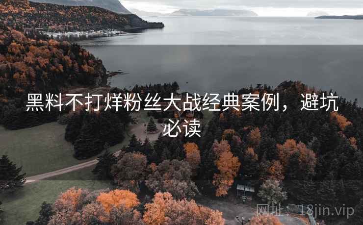 黑料不打烊粉丝大战经典案例，避坑必读
