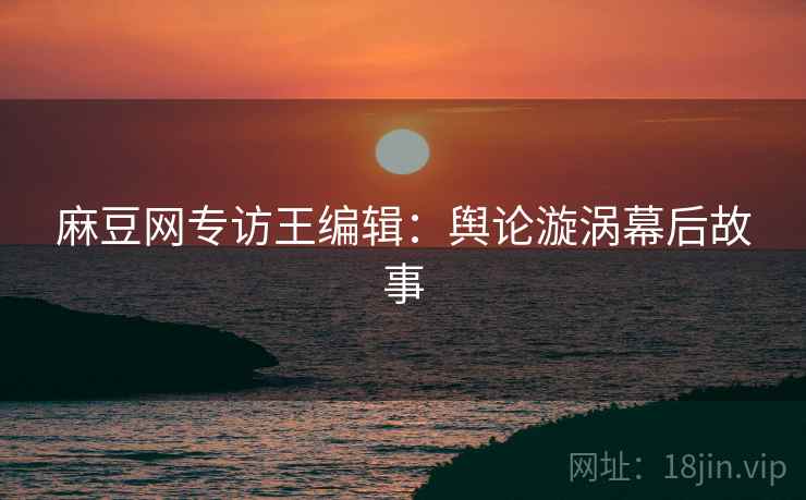 麻豆网专访王编辑：舆论漩涡幕后故事