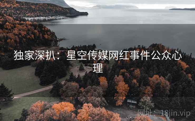 独家深扒：星空传媒网红事件公众心理