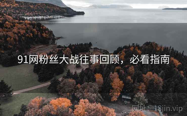 91网粉丝大战往事回顾，必看指南